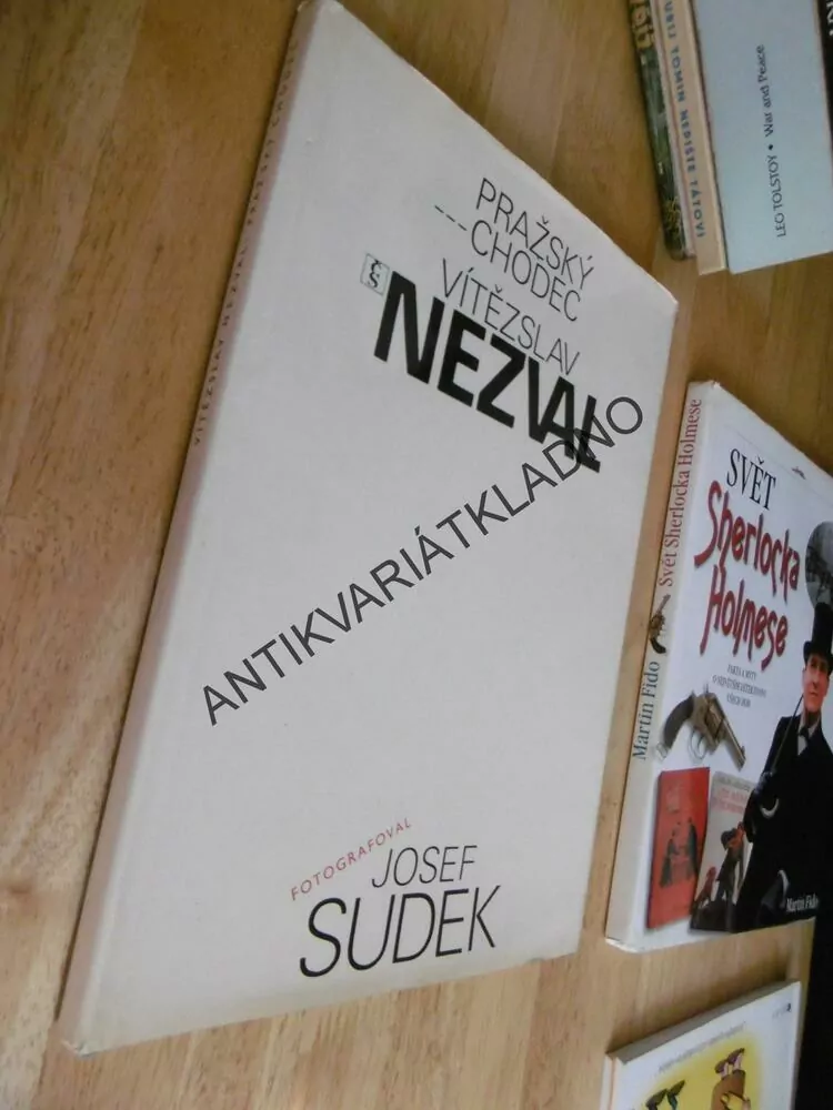 PRAŽSKÝ CHODEC, VÍTĚZSLAV NEZVAL, JOSEF SUDEK, FOTOGRAF, FOTOGRAFIE, **an