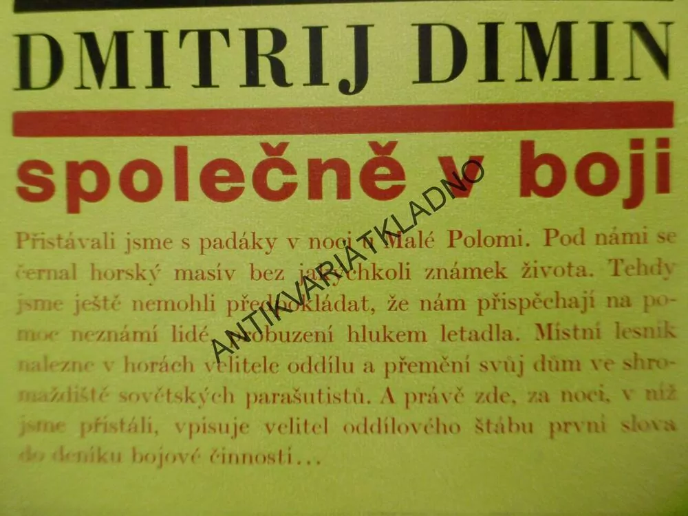 SPOLEČNĚ V BOJI, DMITRIJ DIMIN