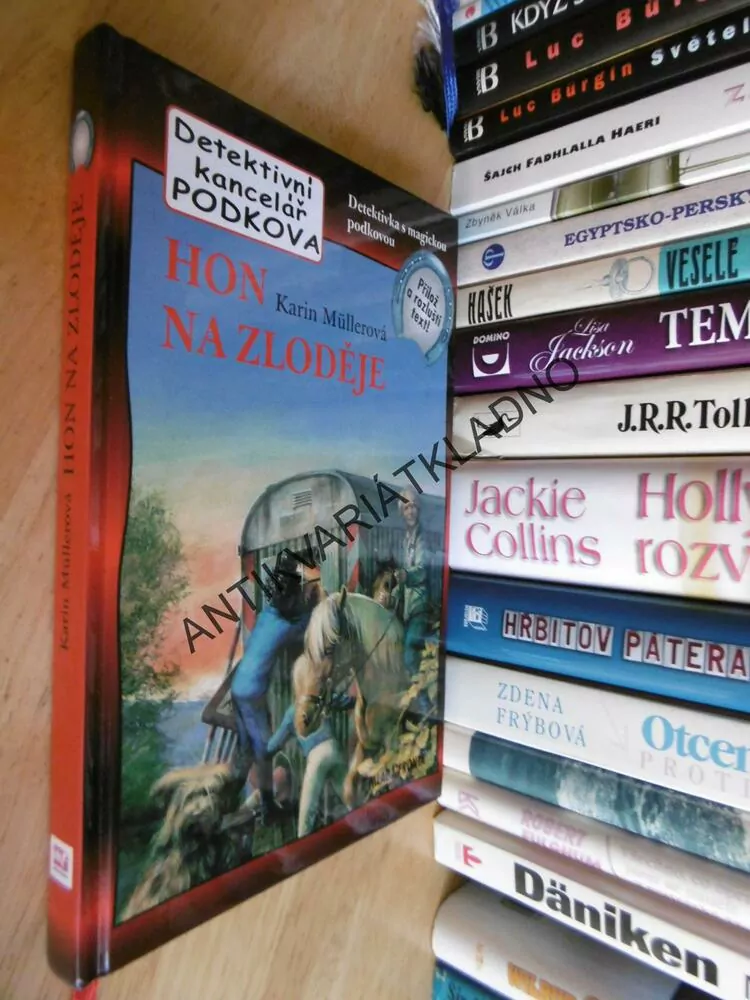 HON NA ZLODĚJE, KARIN MÜLLEROVÁ,KŮŇ, KONĚ, **an