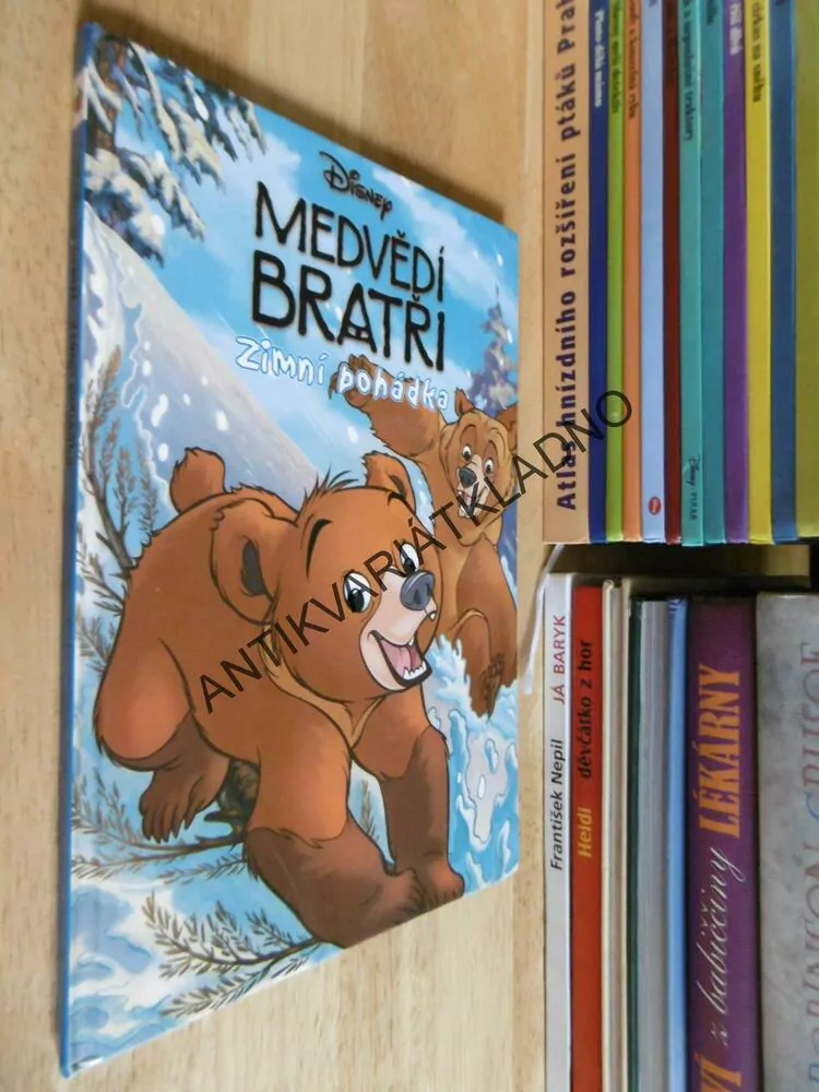 MEDVĚDÍ BRATŘI, ZIMNÍ POHÁDKA, DISNEY, **an