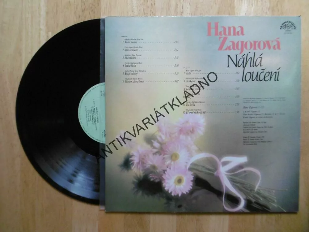 NÁHLÁ LOUČENÍ, HANA ZAGOROVÁ 