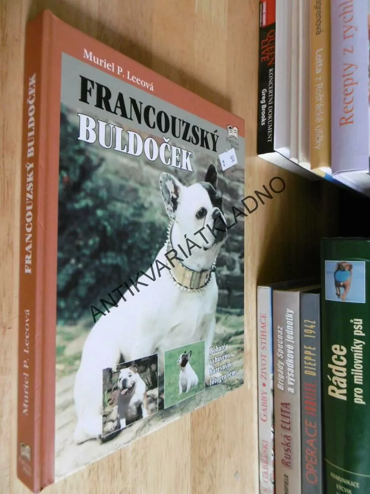 FRANCOUZSKÝ BULDOČEK, PES, MURIEL P.LEEOVÁ, **an