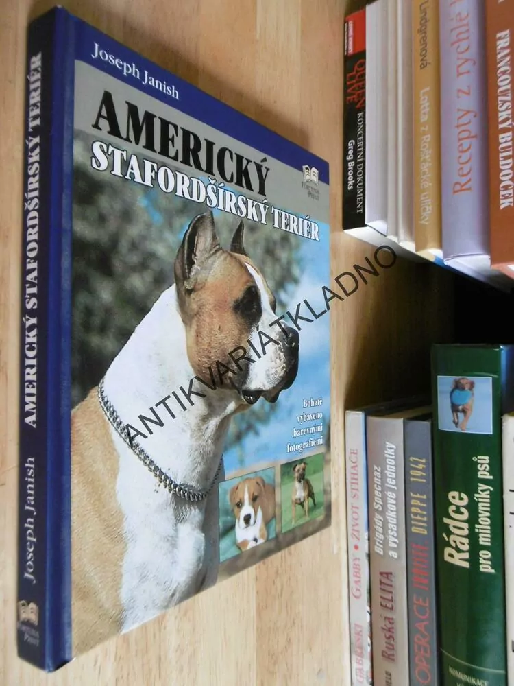 AMERICKÝ STAFORDŠIRSKÝ TERIÉR, PES, JOSEPH JANISH, **an