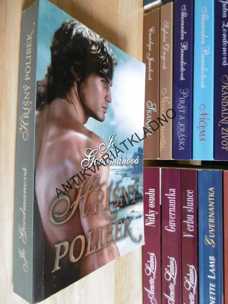 HŘÍŠNÝ POLIBEK, JO GOODMANOVÁ, **an