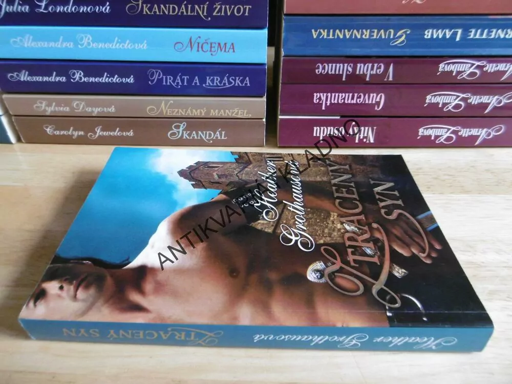 ZTRACENÝ SYN, HEATHER GROTHAUSOVÁ, **an