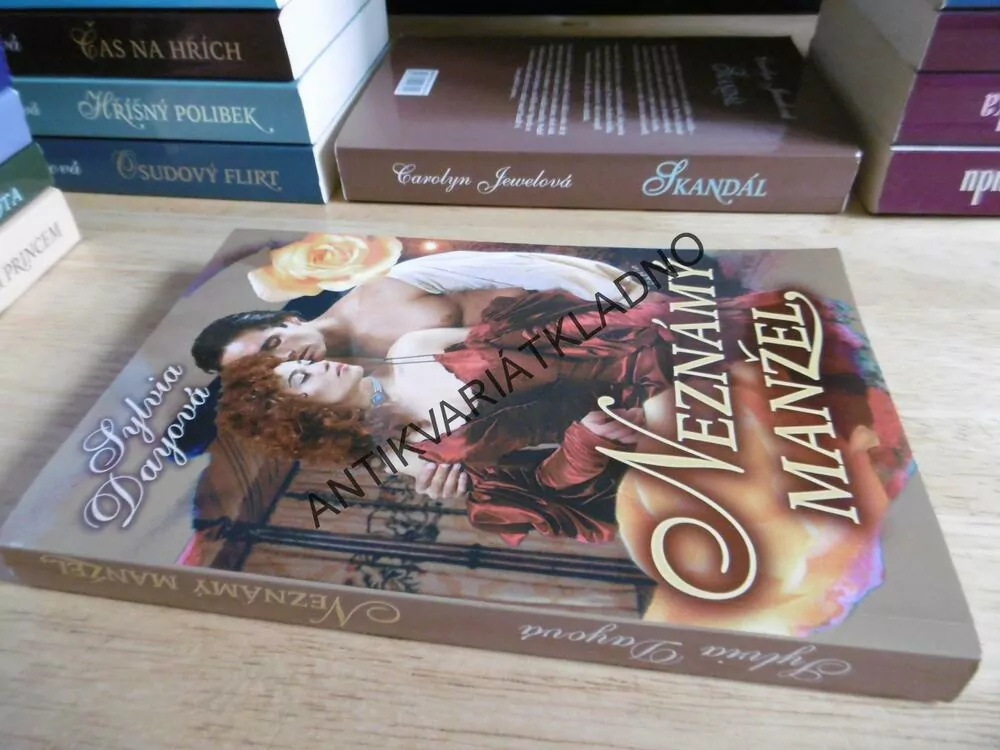 NEZNÁMÝ MANŽEL, SYLVIA DAYOVÁ, **an