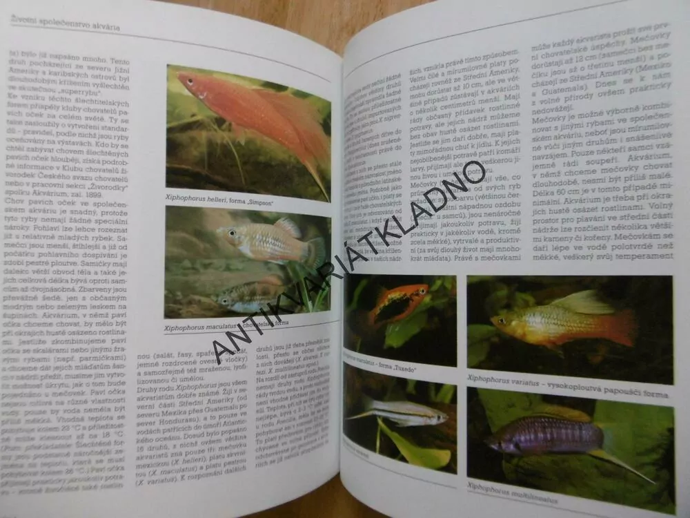 SLADKOVODNÍ AKVÁRIUM, HANS J. MAYLAND, **an