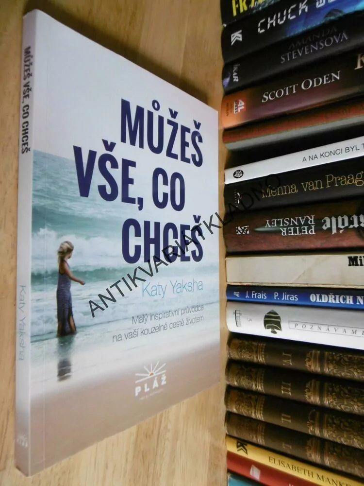 MŮŽEŠ VŠE, CO CHCEŠ, KATY YAKSHA, **an
