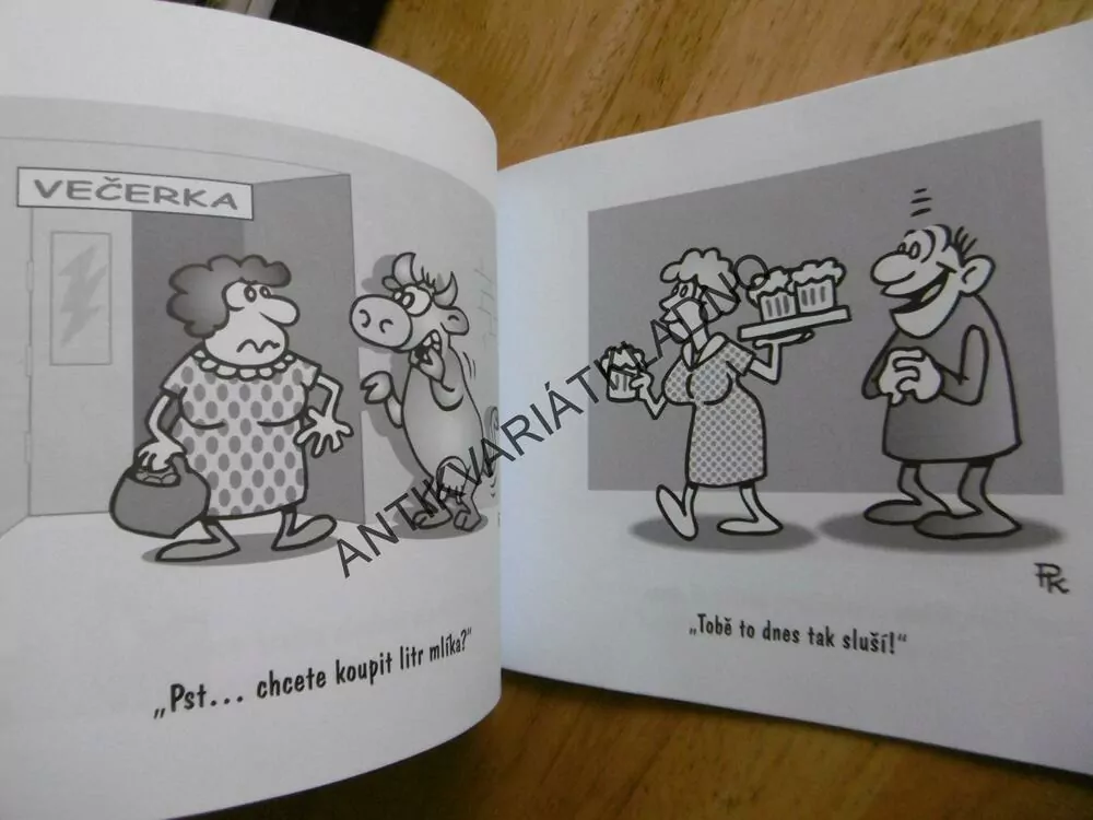 JAK PŘEŽÍT MANŽELSTVÍ, PAVEL KANTOREK, **an