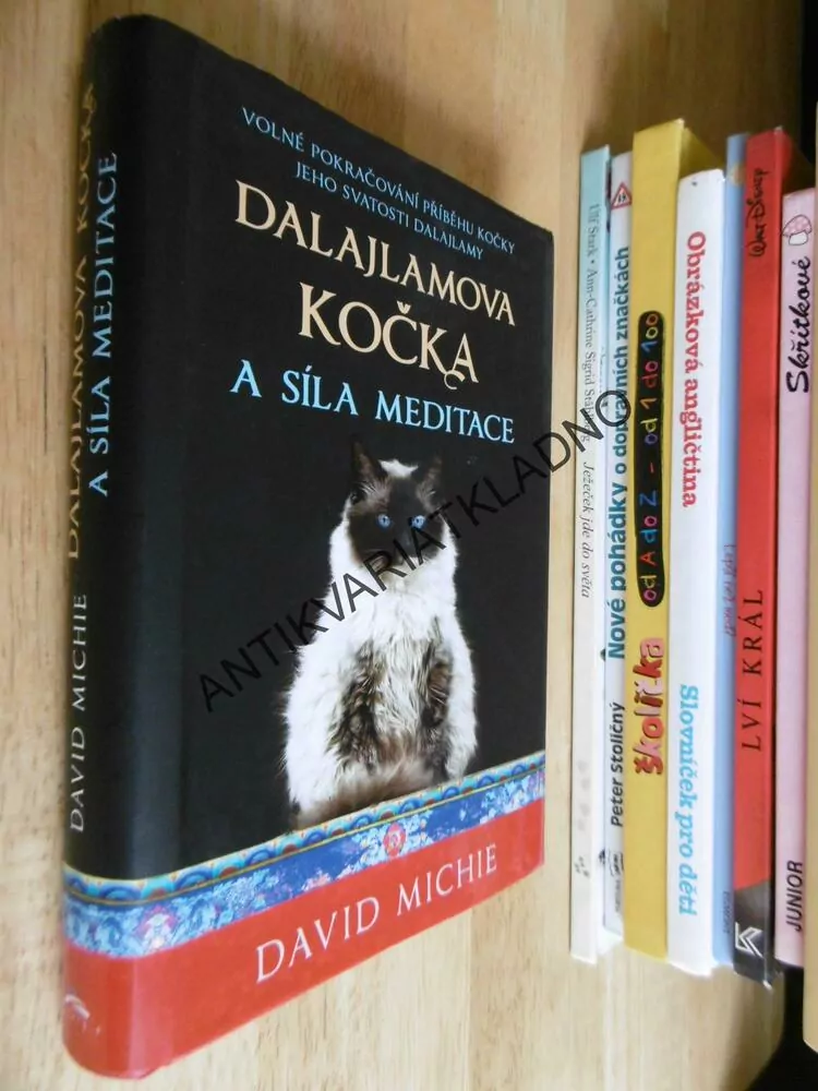 DALAJLAMOVA KOČKA A SÍLA MEDITACE, DAVID MICHIE, **an