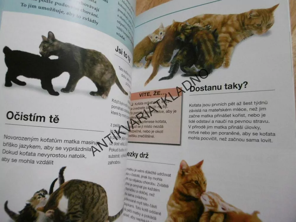 KOČKA A JEJÍ ŘEČ, VŠECHNO O TOM, JAK POROZUMĚT CHOVÁNÍ KOČKY, PAVLA KROUPOVÁ, GWEN BAILEY, **an