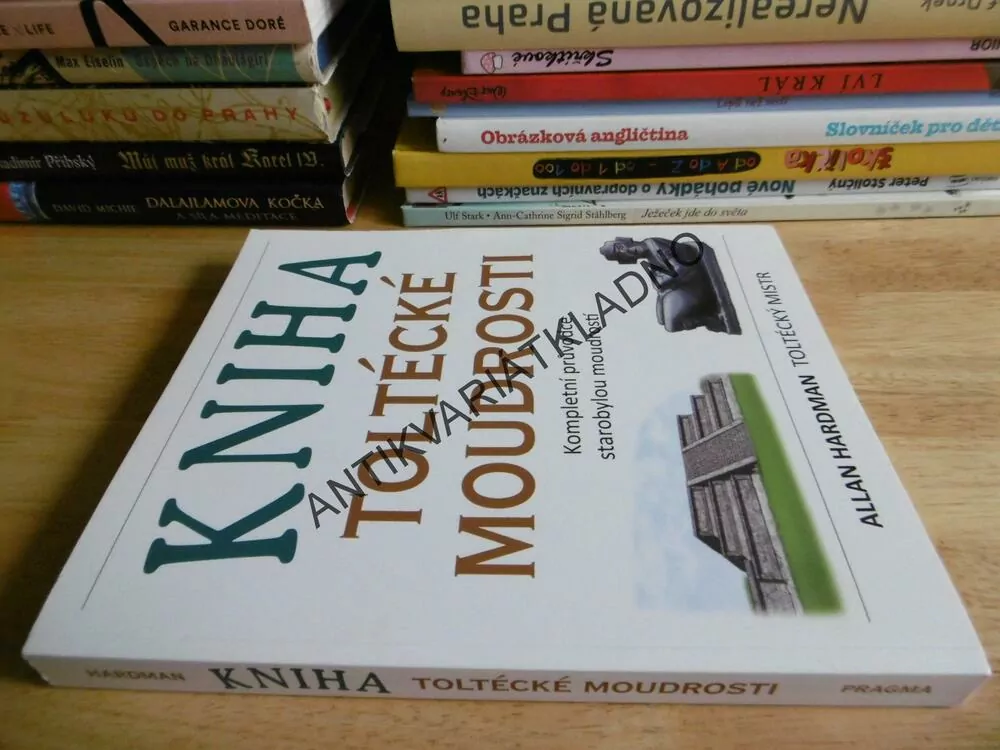 KNIHA TOLTÉCKÉ MOUDROSTI, ALLAN HARMAN, TOLTÉCKÝ MISTR