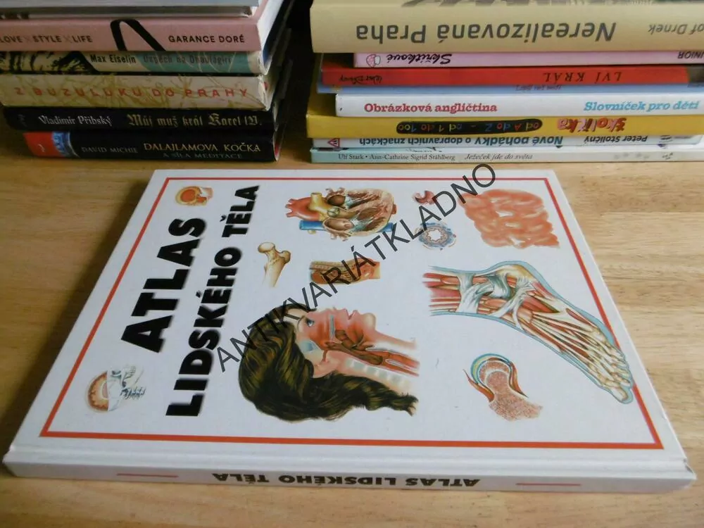 ATLAS LIDSKÉHO TĚLA, ANATOMIE, ILUSTROVANÝ ATLAS,