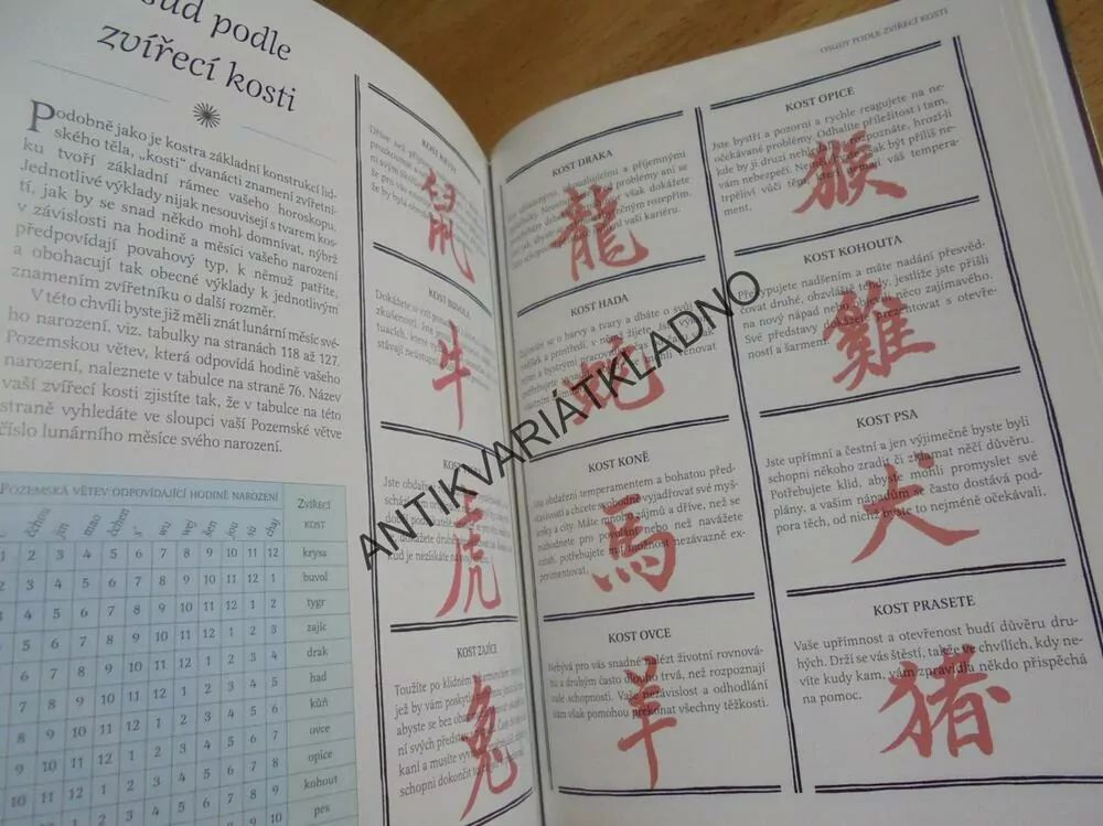 ČÍNSKÁ ASTROLOGIE, HOROSKOP, BUDOUCNOST, KWOK