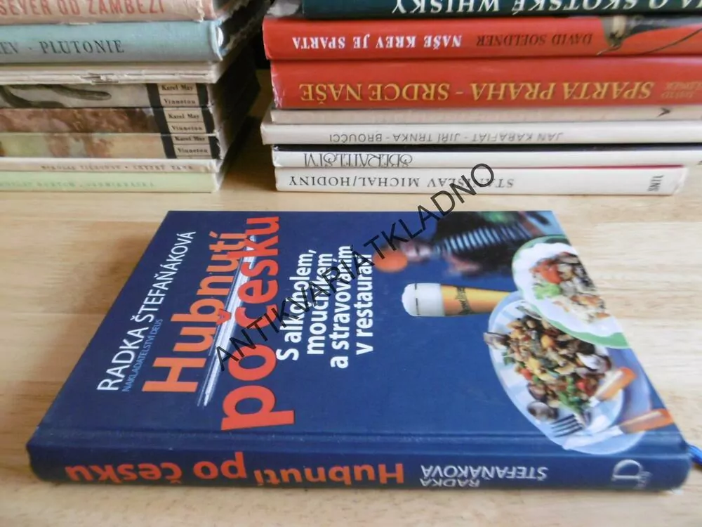 HUBNUTÍ PO ČESKU S ALKOHOLEM, MOUČNÍKEM A STRAVOVÁNÍM V RESTAURACI, RADKA STĚFAŇÁKOVÁ, **an