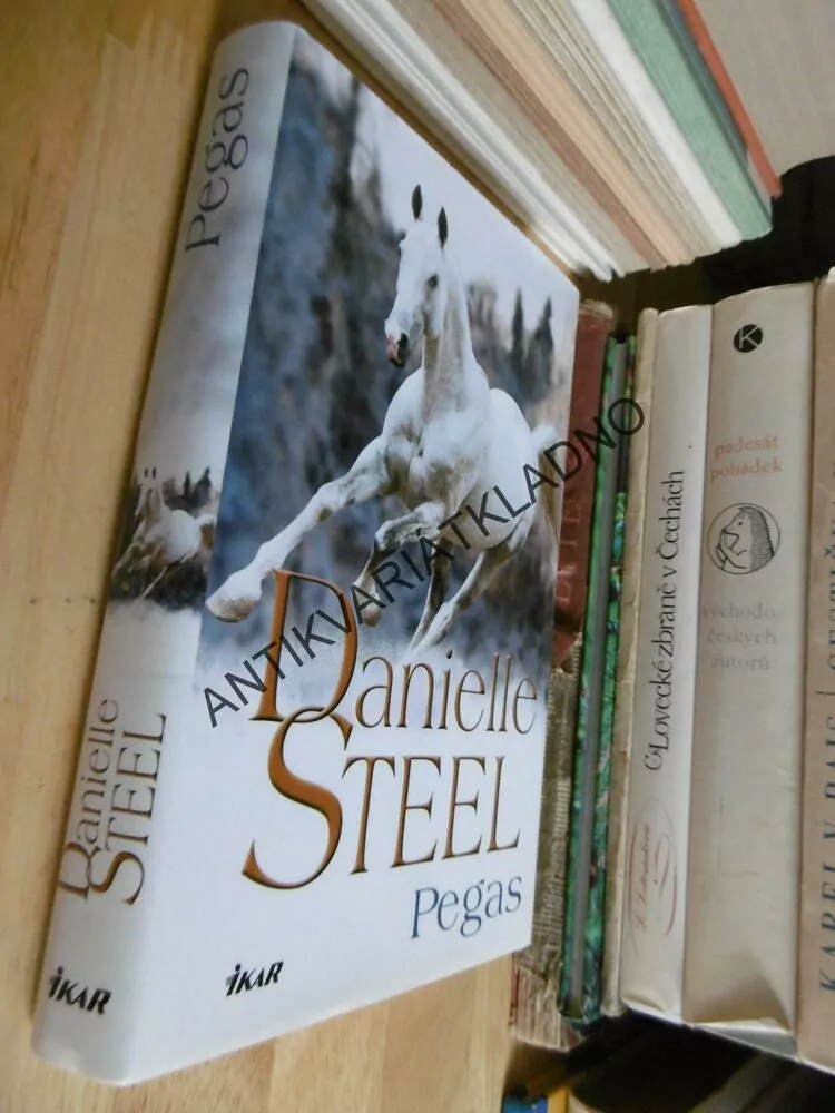 PEGAS, DANIELLE STEEL