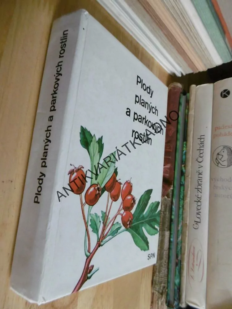 PLODY PLANÝCH A PARKOVÝCH ROSTLIN, MIKULA , VANKE, **an