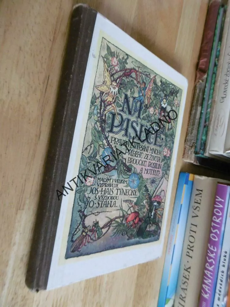 NA PASECE, JOS. HAIS TÝNECKÝ, O. ŠTÁFL, 1992, **an