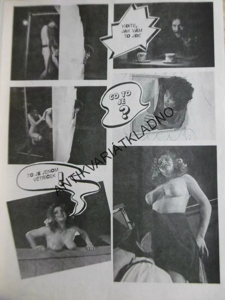 NEI COMICS, 1991, NEI REPORT, EROTICKÁ KNIHOVNIČKA EROTIKA, SEX , PORNO
