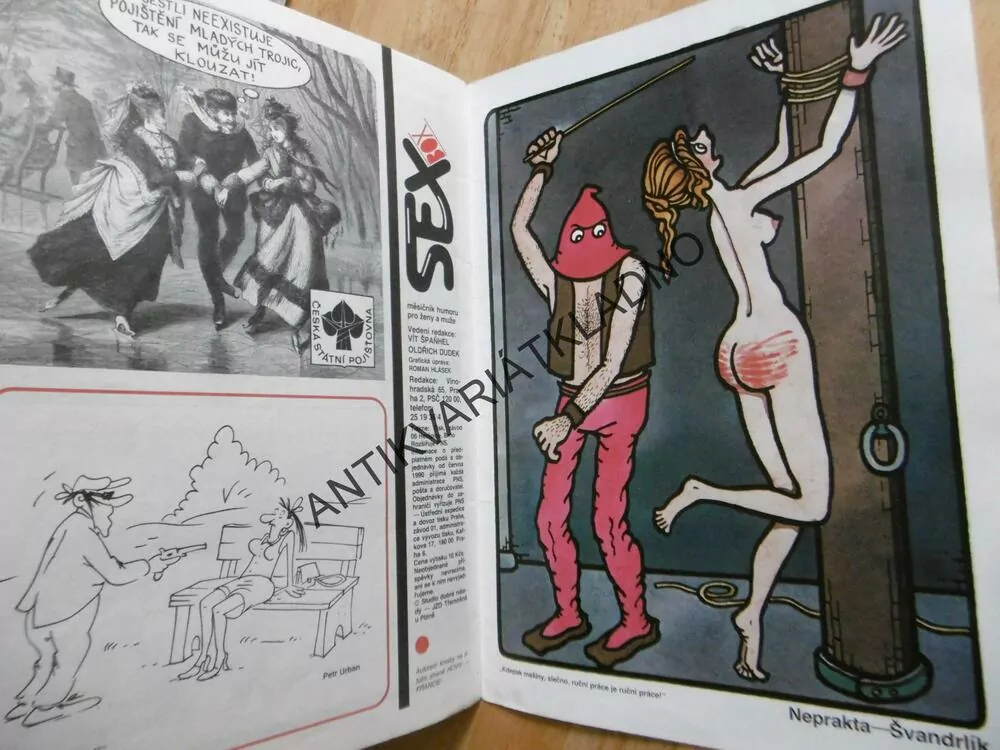 SEX BOX, MĚSÍČNÍK HUMORU O ŽENÁCH A MUŽÍCH, NEPRAKTA, 1/1990
