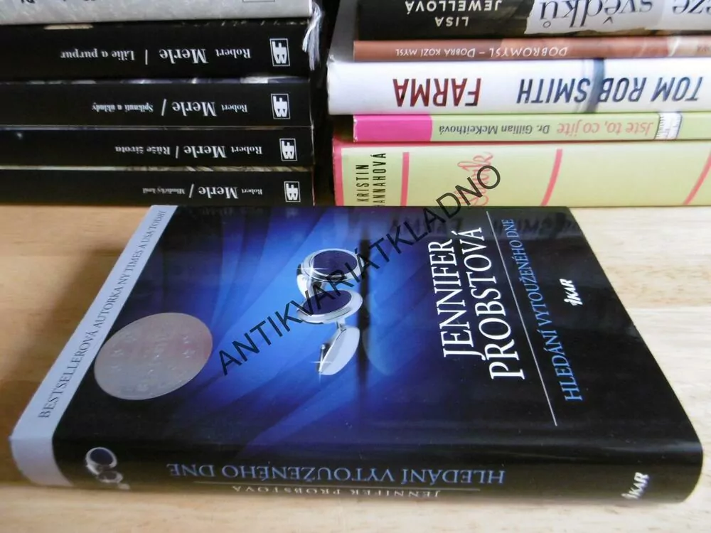 HLEDÁNÍ VYTOUŽENÉHO DNE, JENNIFER PROBSTOVÁ,