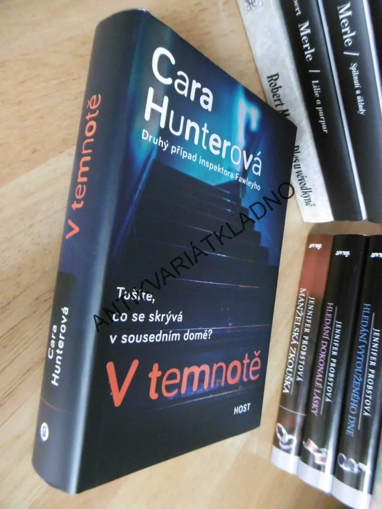 V TEMNOTĚ, CARA HUNTEROVÁ, **an