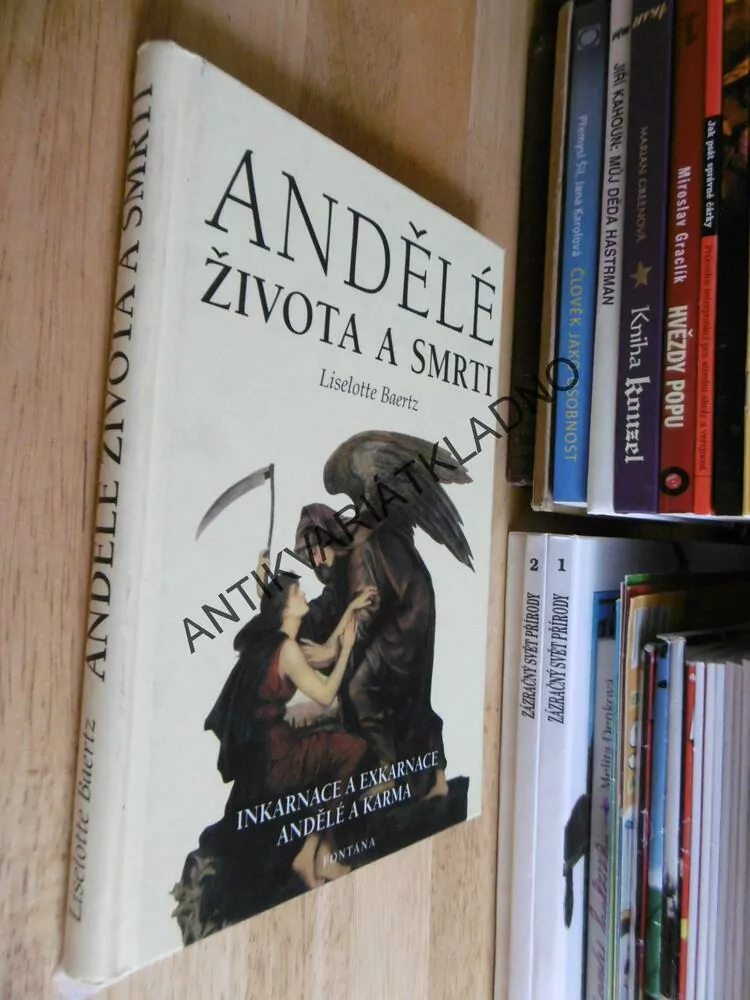 ANDĚLÉ ŽIVOTA A SMRTI, INKARNACE, EXKARNACE, ANDĚLÉ A KARMA, LISELOTTE BAERTZ,