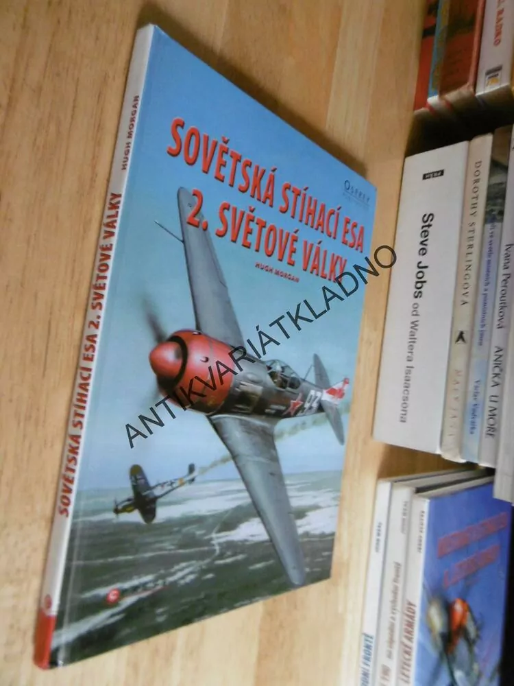 SOVĚTSKÁ STÍHACÍ ESA 2. SVĚTOVÉ VÁLKY, HUGH MORGAN