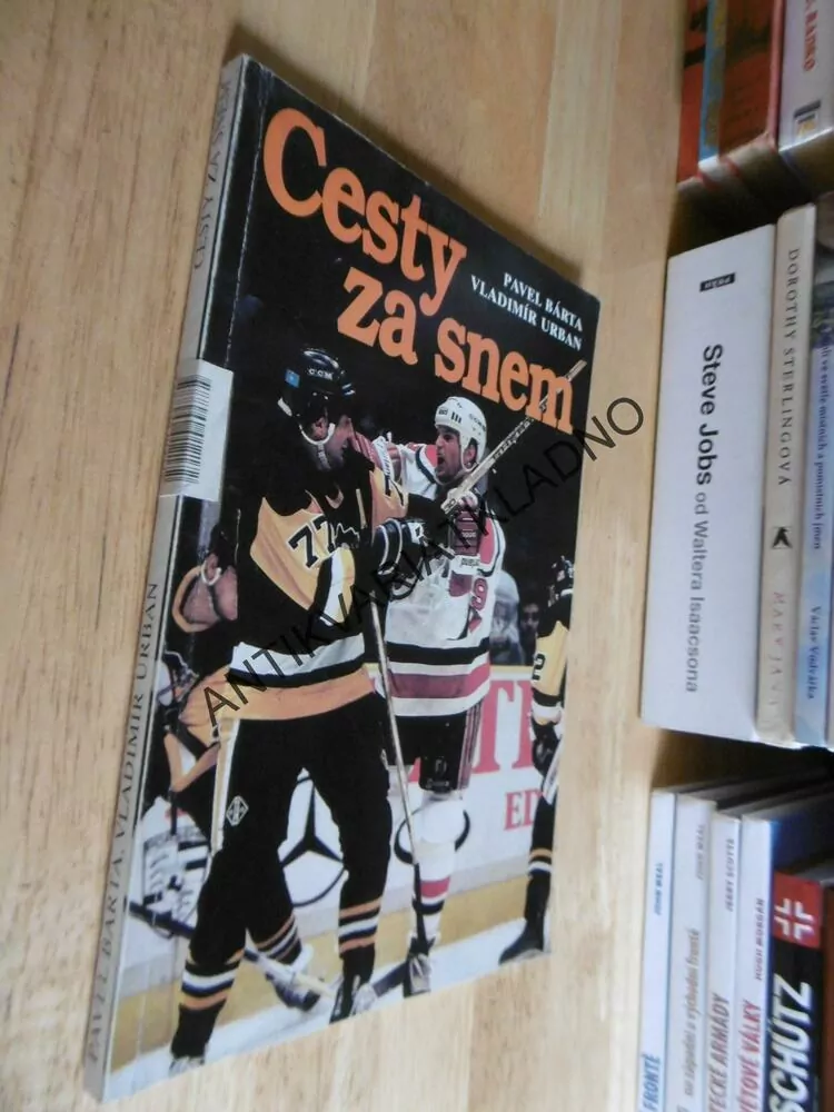 CESTY ZA SNEM, PAVEL BÁRTA, VLADIMÍR URBAN, 1992