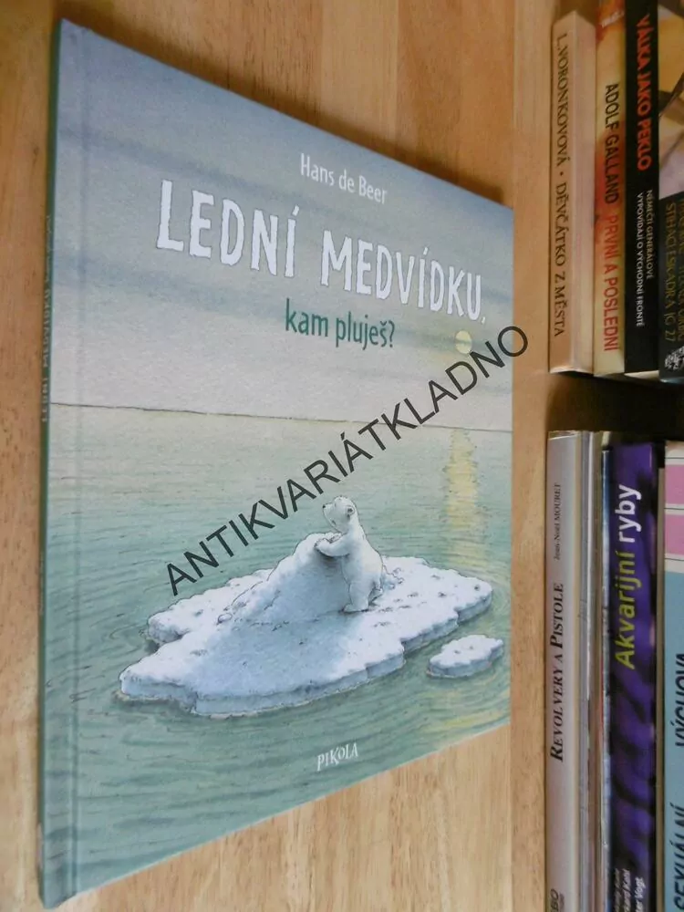 LEDNÍ MEDVÍDKU, KAM PLUJEŠ? HANS DE BEER, **an