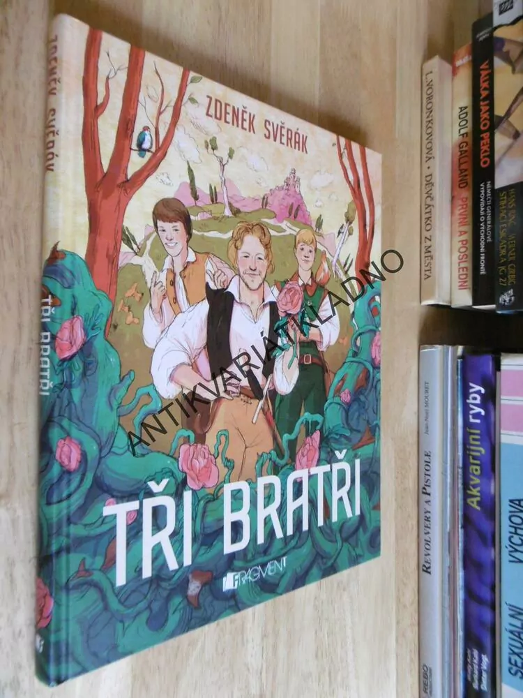 TŘI BRATŘI, ZDENĚK SVĚRÁK, VÁCLAV ŠLAJCH, 2014, **an