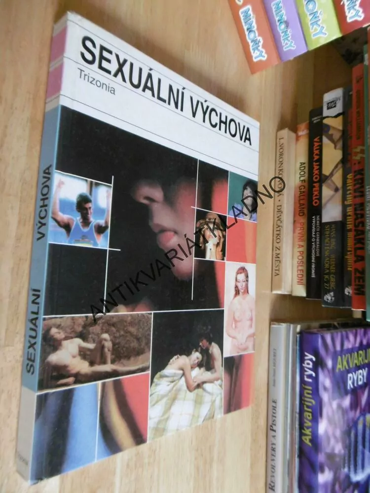 SEXUÁLNÍ VÝCHOVA, KNIHA NETRADIČNÍCH METOD VÝUKY, 1994