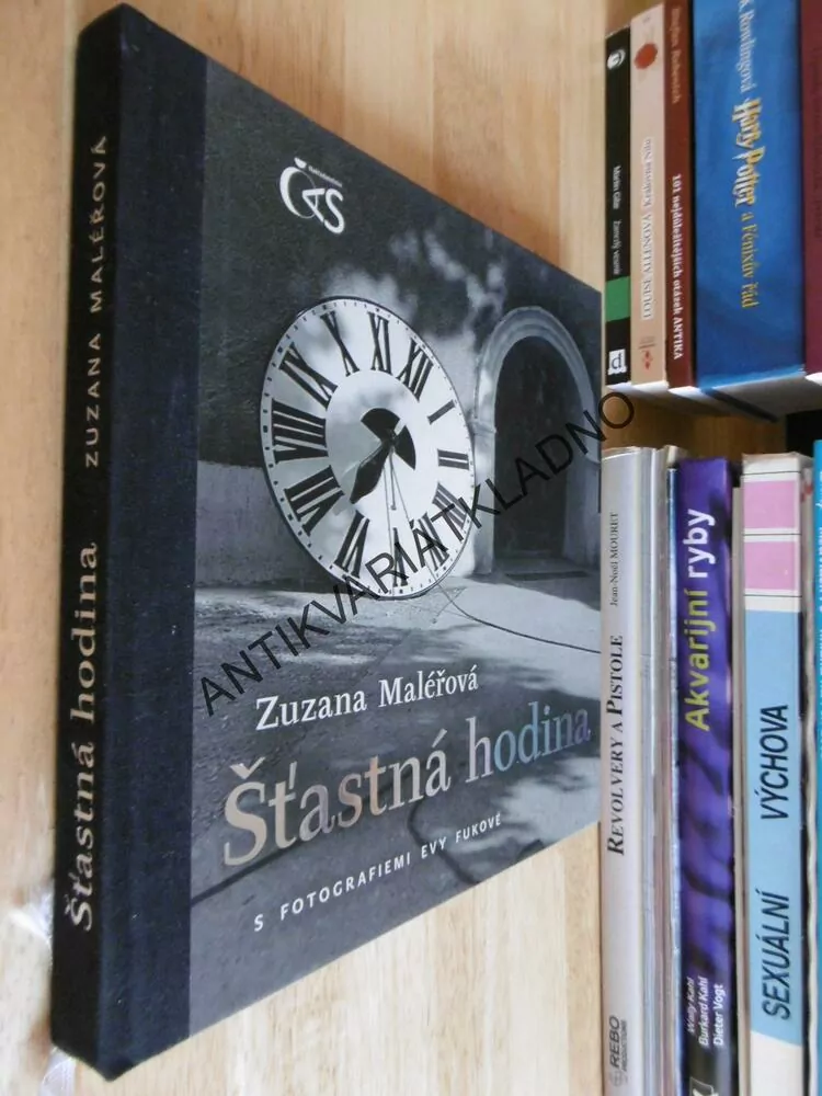 ŠŤASTNÁ HODINA, ZUZANA MALÉŘOVÁ, FOTOGRAFIE EVA FUKOVÁ, **an