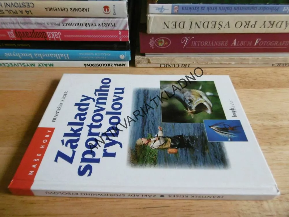 ZÁKLADY SPORTOVNÍHO RYBOLOVU, FRANTIŠEK REISER, NAŠE HOBY, HOBBY, **an