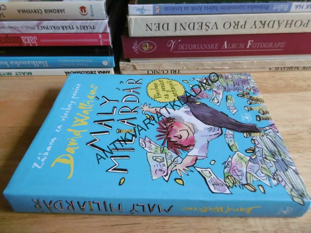 MALÝ MILIARDÁŘ, DAVID WALLIAMS, ZÁBAVA ZA VŠECHNY PENÍZE, **an
