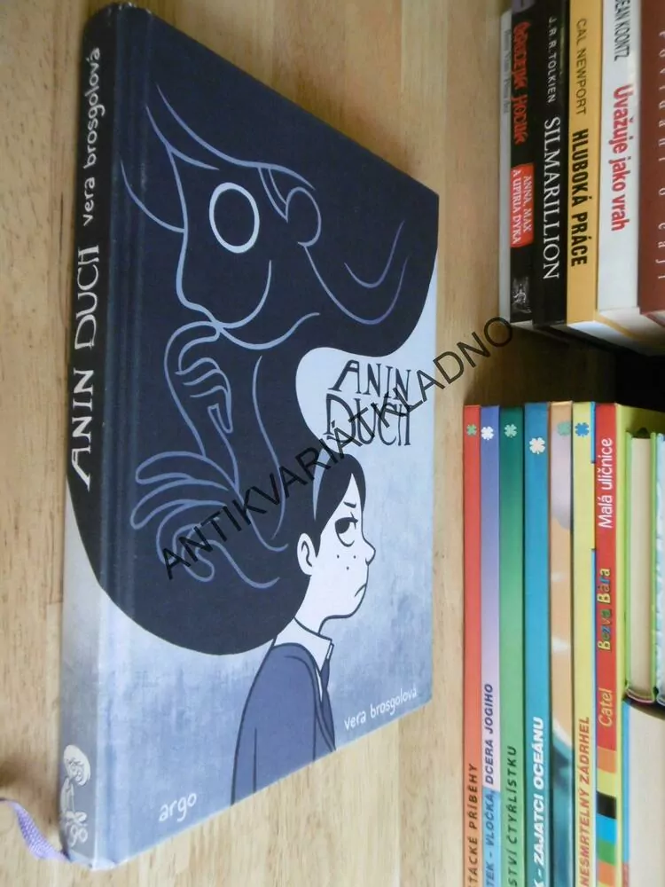 ANIN DUCH, VERA BROSGOLOVÁ, KOMIKS