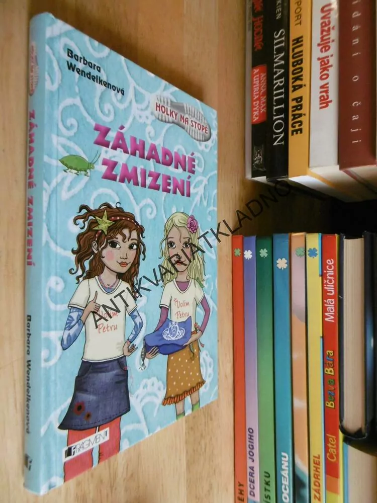 ZÁHADNÉ ZMIZENÍ, HOLKY NA STOPĚ, BARBARA WENDELKENOVÁ, **an