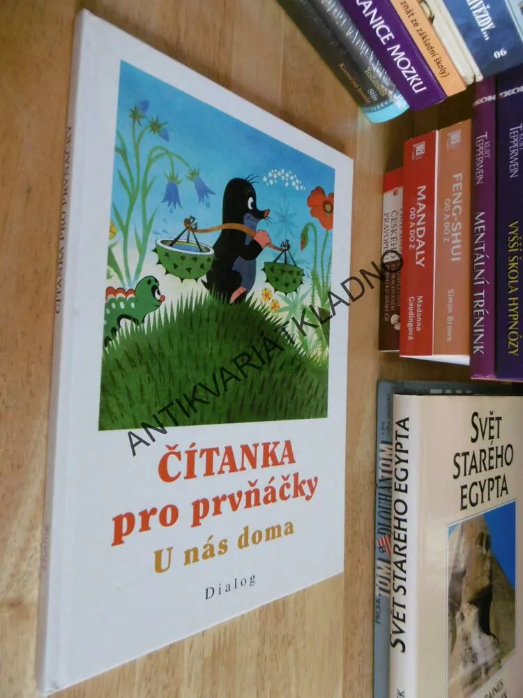 ČÍTANKA PRO PRVŇÁČKY, U NÁS DOMA, ZDENĚK MILER, BORN, LADA, 