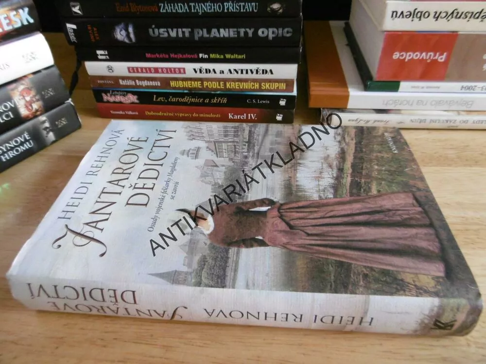 JANTAROVÉ DĚDICTVÍ, HEIDI REHNOVÁ, **an