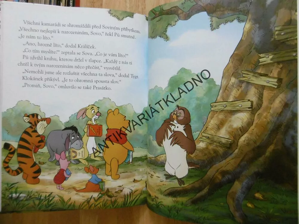 MEDVÍDEK PÚ, NAROZENINOVÉ ČTENÍ, WALT DISNEY