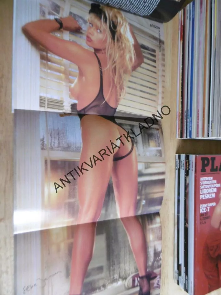 PLAYBOY, 3/1994, JAN SVĚRÁK, 