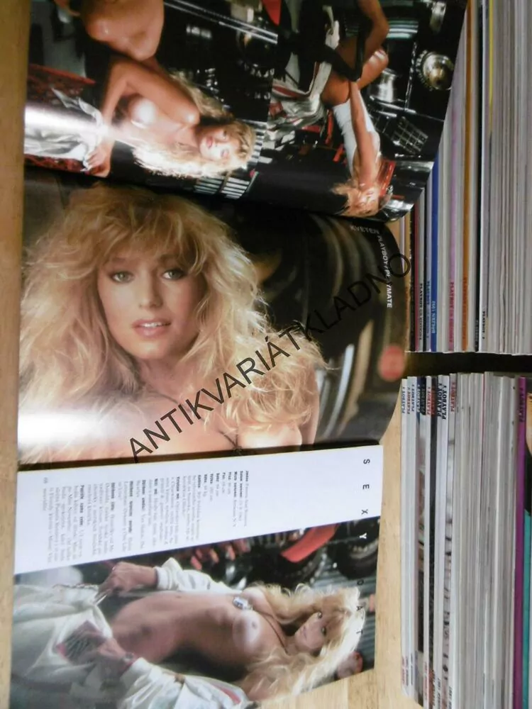 PLAYBOY, 5/1995, DOMINIK HAŠEK, MONIKA ŽITŇÁKOVÁ, 