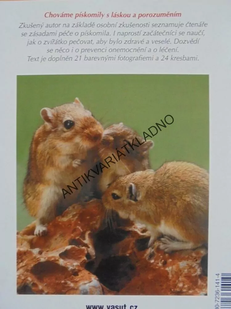 PÍSKOMILOVÉ, PÉČE A CHOV, JAK NA TO