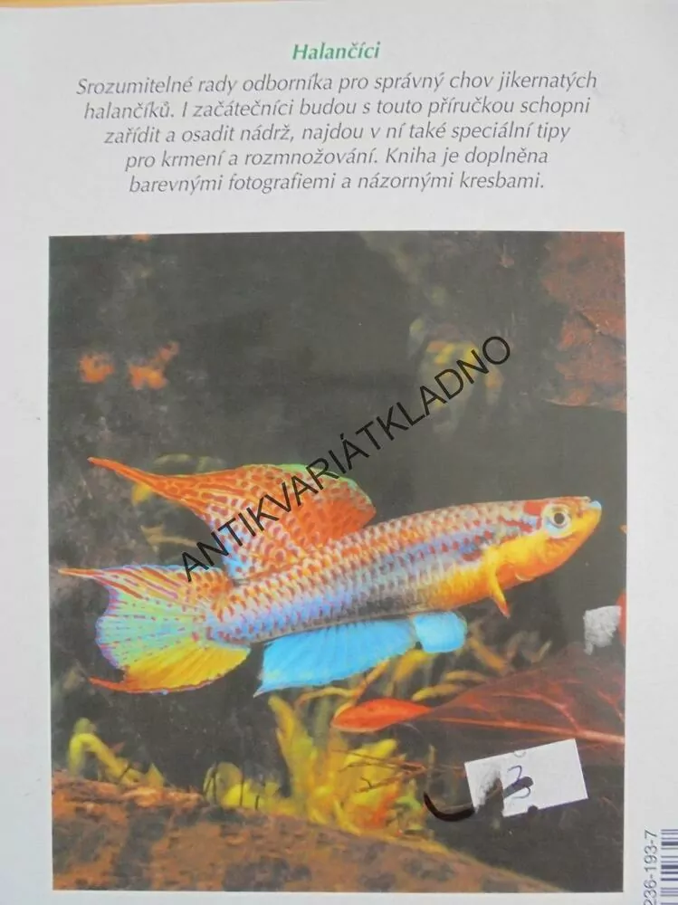 JAK NA TO- HALANČÍCI, AKVARISTIKA, RYBY