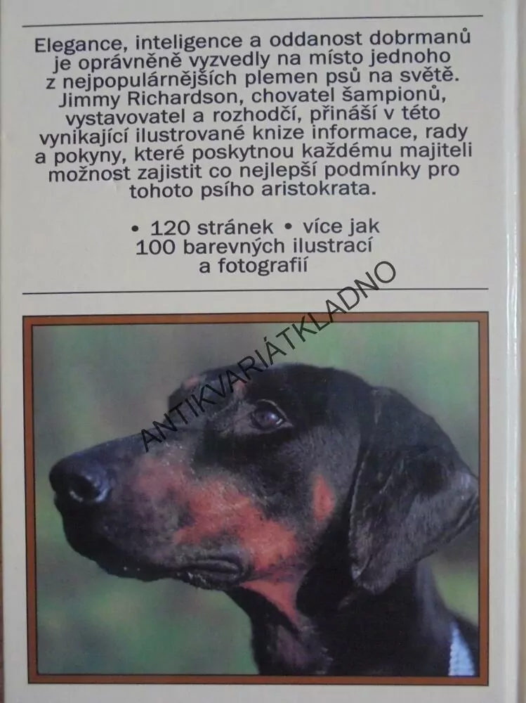 DOBRMAN, PES, PÉČE A CHOV, JAK NA TO, **an