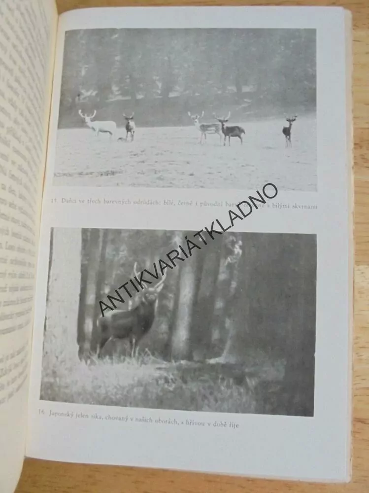 MYSLIVOST V ČESKÝCH ZEMÍCH, KOMÁREK, ŽIVÁ VĚDA 15