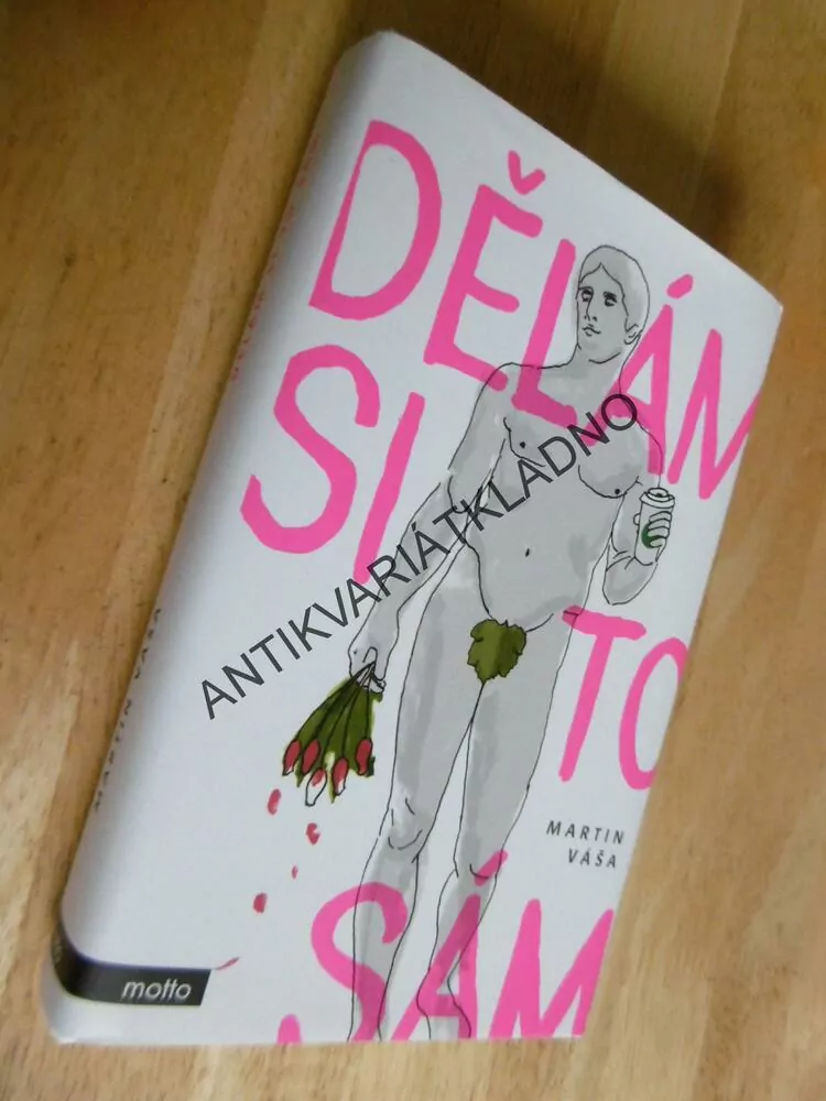 DĚLÁM SI TO SÁM, MARTIN VÁŠA, **an