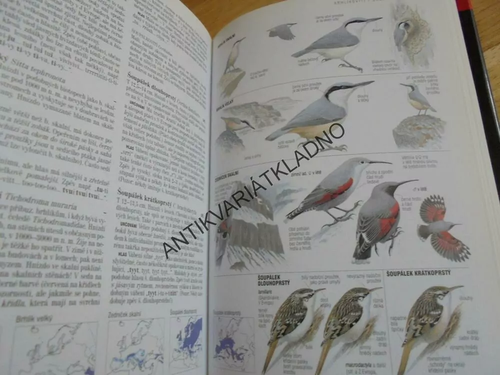 PTÁCI EVROPY,S.AFRIKY,BLÍZKÝ VÝCHOD, PŘÍRUČKA, ATLAS