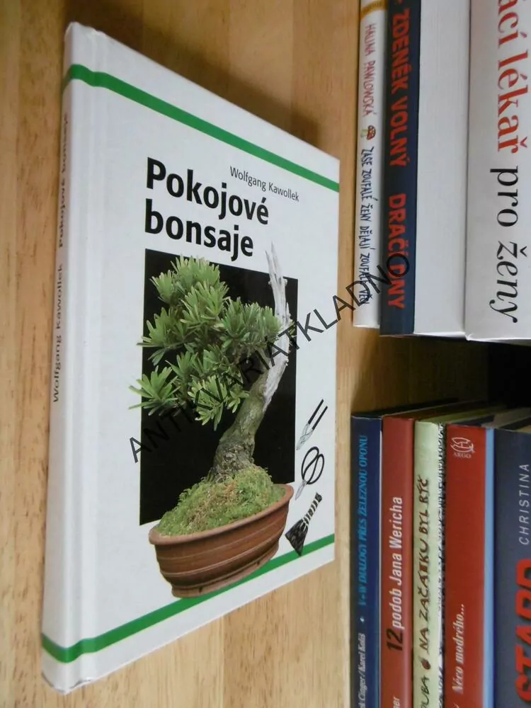 POKOJOVÉ BONSAJE, KAWOLLEK, BONSAI,JAPONSKÁ ZAHRADA, **an