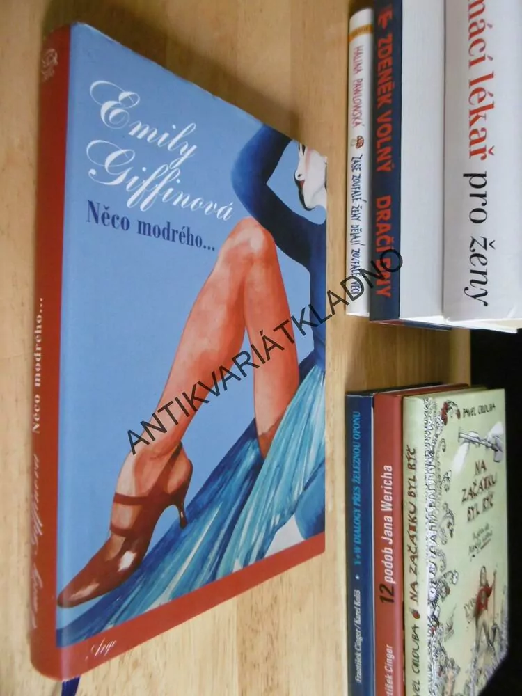 NĚCO MODRÉHO..., EMILY GIFFINOVÁ, **an